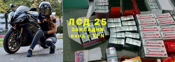 крисы Алзамай