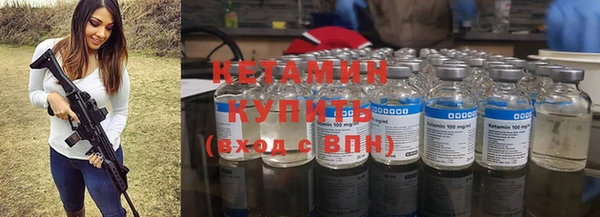 крисы Алзамай