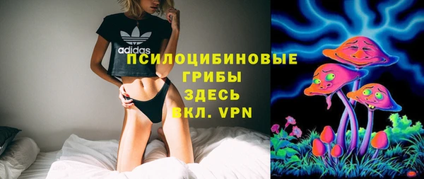 крисы Алзамай