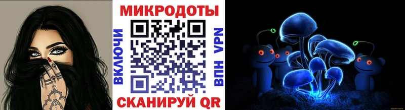 kraken зеркало  Александровское  Галлюциногенные грибы Cubensis 